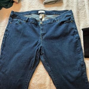 Lane Bryant low rose skinny jeans